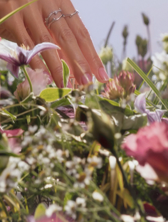 一名女士的手在輕撫著花田裡的小草 | Dior官網