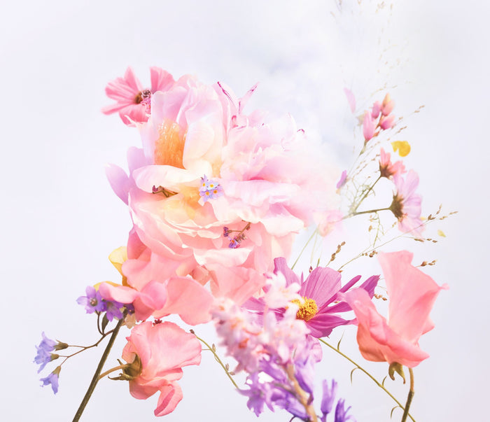 粉紅色花卉 | | Miss Dior香水 