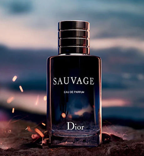 Sauvage香薰 - Dior皇牌男士香水