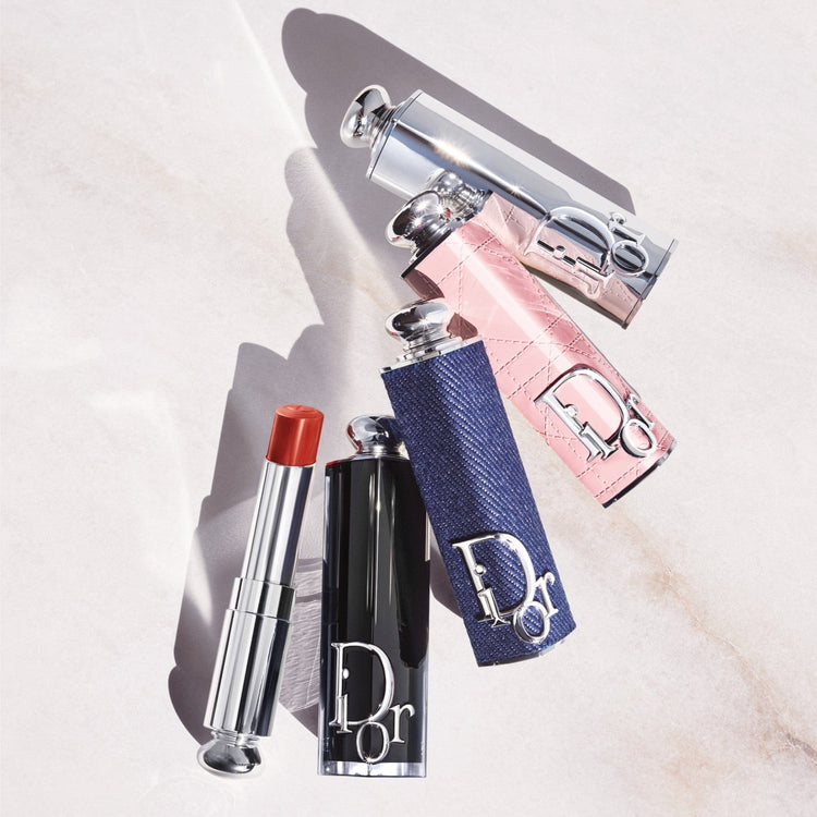 Dior Addict Lipstick Case cheapest